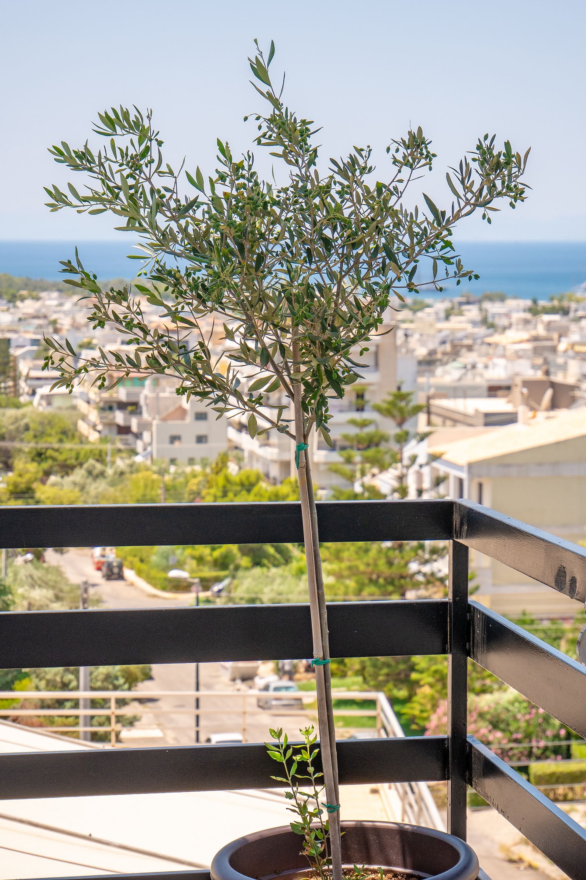 Rhea | Glyfada Sea View Apartment